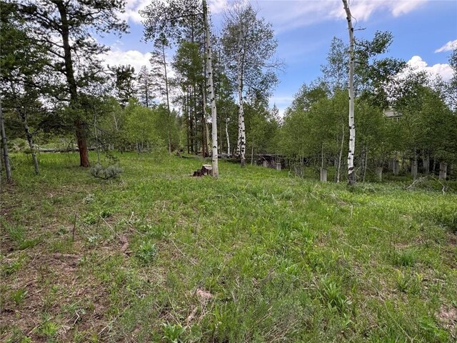 21095 Stampede Way, Oak Creek, CO 80467 - photo 2