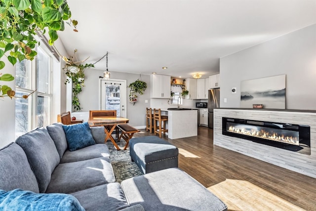 living room featuring sink and dark hardwood / wood-style flooring