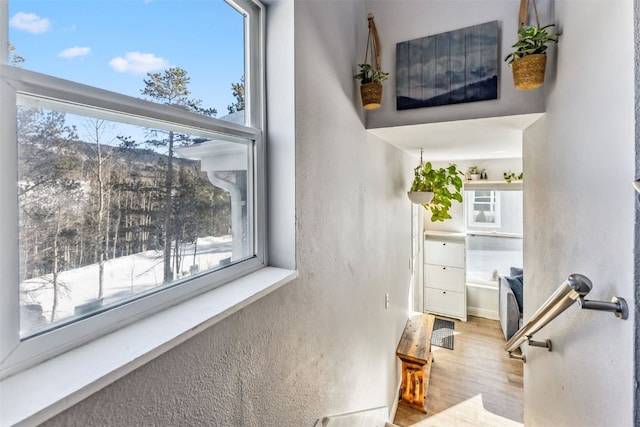 stairway with a wealth of natural light and hardwood / wood-style floors