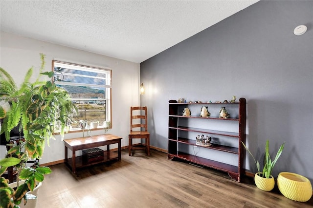 sitting room with hardwood / wood-style flooring and a textured ceiling