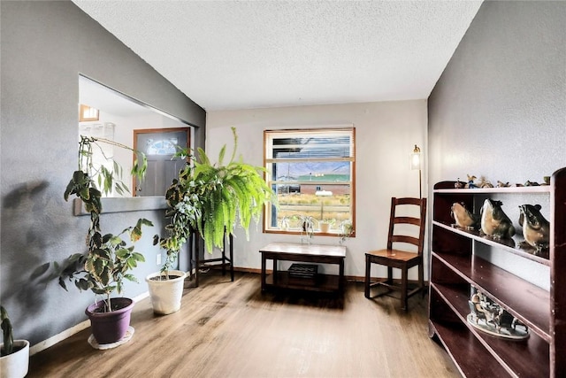 sitting room featuring wood-type flooring and a textured ceiling