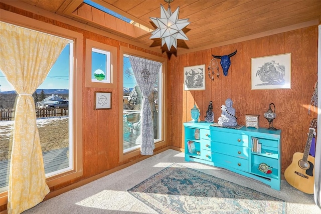 doorway to outside featuring carpet, wooden ceiling, and wood walls