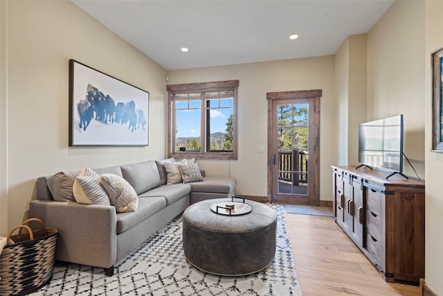 living room with light wood-type flooring