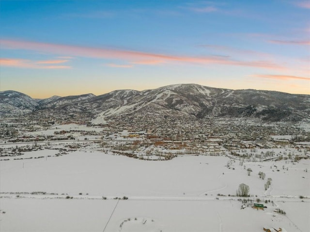 view of mountain feature