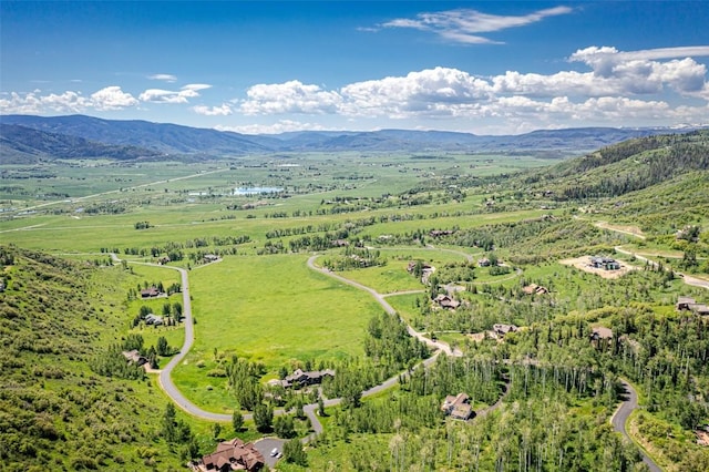 birds eye view of property featuring a mountain view