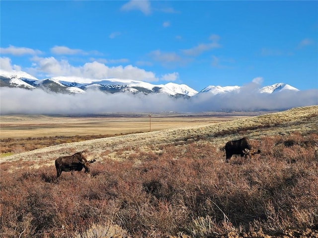 view of mountain feature with a rural view