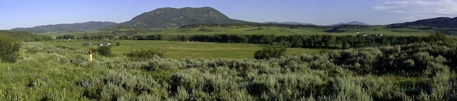 42275 Story Teller Ln, Steamboat Springs CO, 80487 land for sale