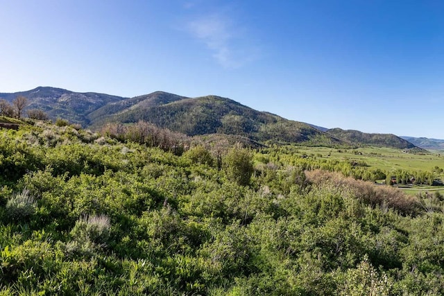 34200 Panorama Dr, Steamboat Springs CO, 80487 land for sale