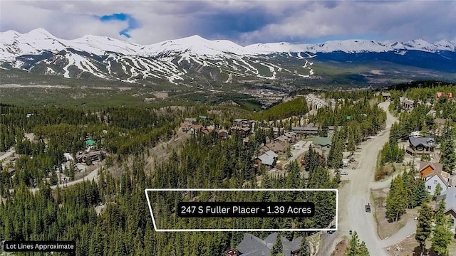 Listing photo 2 for 247 S Fuller Placer Rd, Breckenridge CO 80424