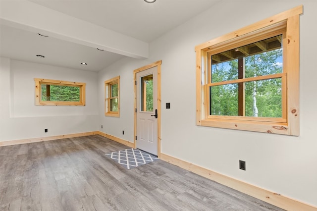 entrance foyer featuring light wood-type flooring