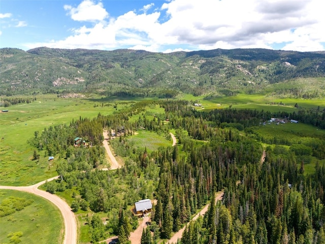 birds eye view of property featuring a mountain view