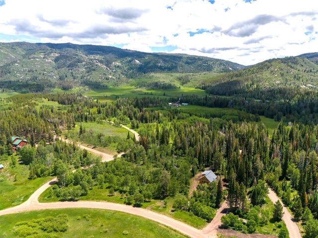 bird's eye view featuring a mountain view