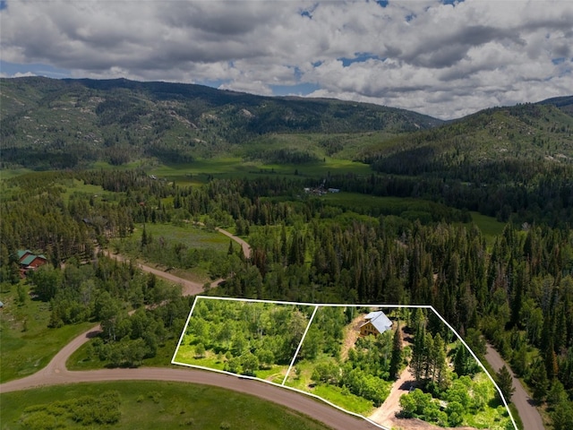 aerial view with a mountain view