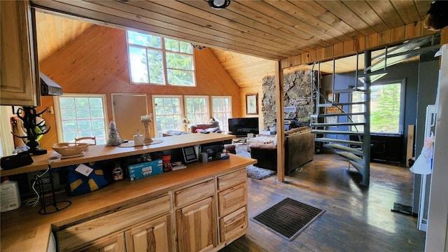 kitchen featuring dark hardwood / wood-style floors, a wealth of natural light, wooden walls, and wood ceiling