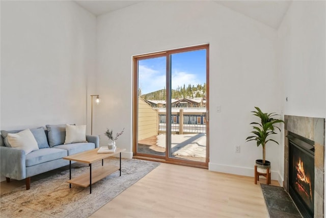 living room with a fireplace and light hardwood / wood-style flooring