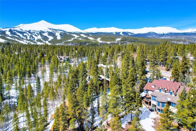 drone / aerial view with a mountain view