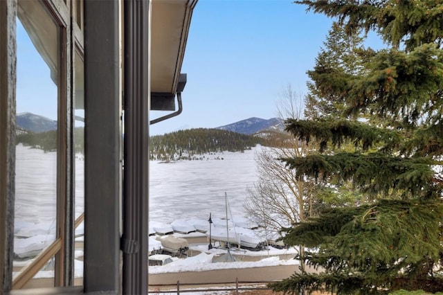 property view of water featuring a mountain view