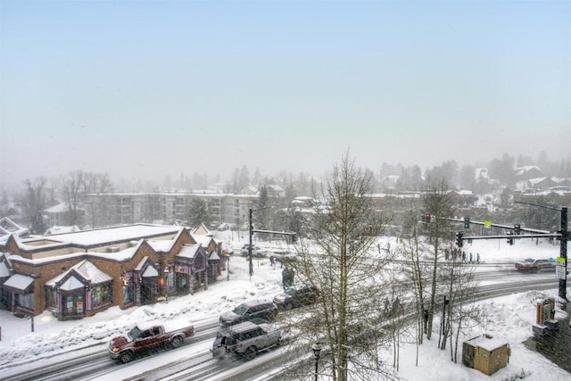 view of snowy aerial view