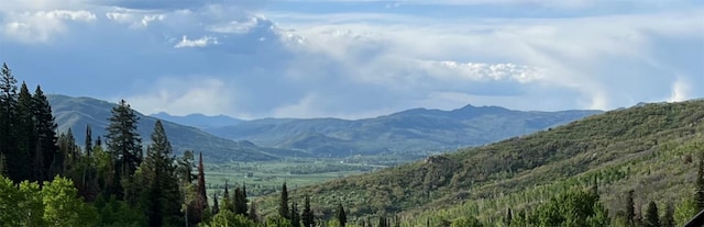 property view of mountains with a wooded view