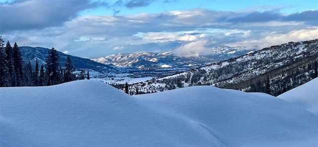 view of mountain feature