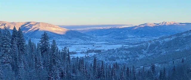 mountain view featuring a forest view