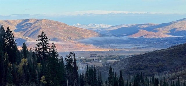 view of mountain feature featuring a view of trees