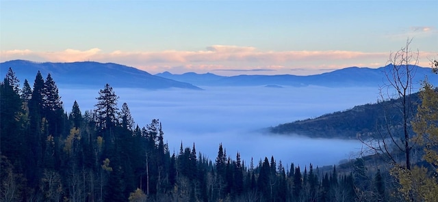 property view of mountains with a view of trees