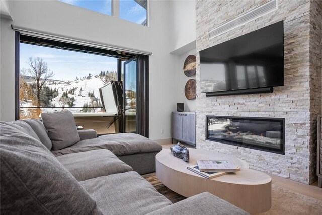 living room with wood-type flooring and a stone fireplace