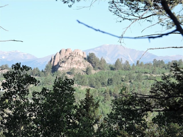 1114 Crooked Rock Path, Como CO, 80432 land for sale