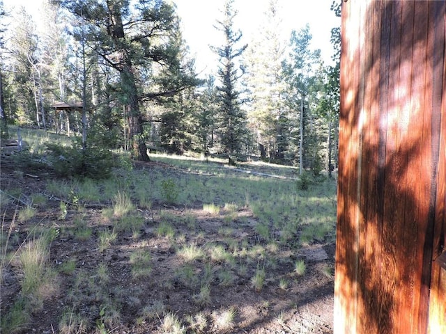 Listing photo 3 for 1114 Crooked Rock Path, Como CO 80432