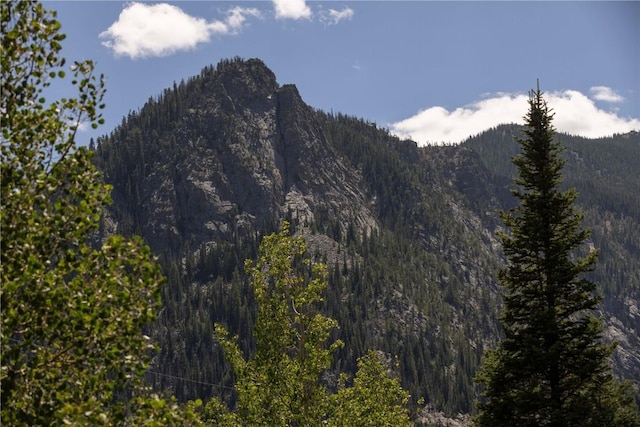 property view of mountains