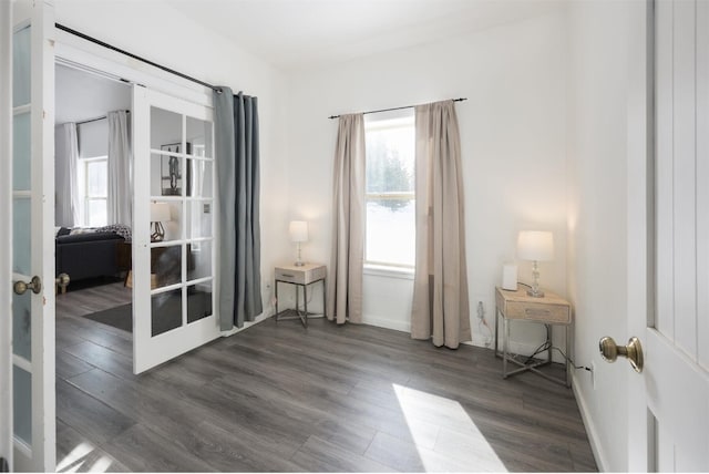 empty room featuring french doors, dark hardwood / wood-style floors, and a wealth of natural light