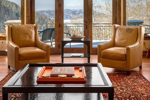 sunroom with a mountain view