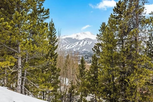 view of mountain feature featuring a forest view