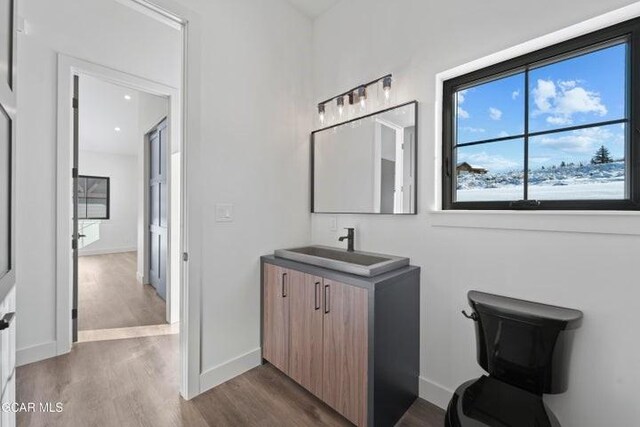 bathroom with vanity and hardwood / wood-style flooring