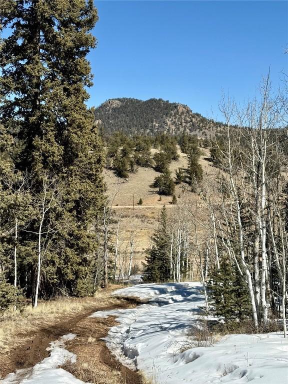 mountain view featuring a forest view