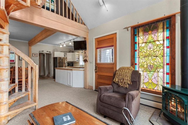 carpeted living room with a wood stove, rail lighting, and a baseboard radiator