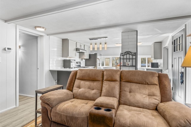 living area featuring light wood finished floors