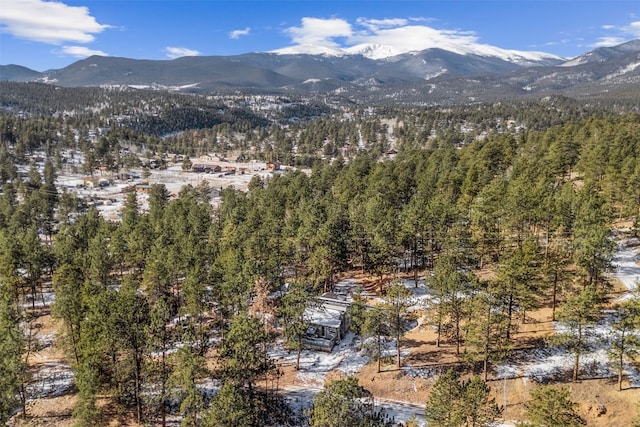 view of mountain feature featuring a view of trees