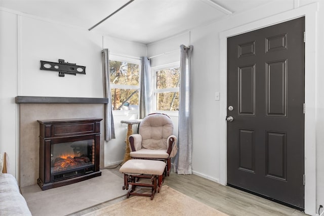 living area featuring wood finished floors and a glass covered fireplace