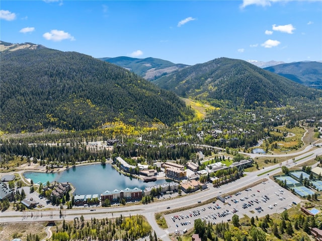 drone / aerial view with a water and mountain view