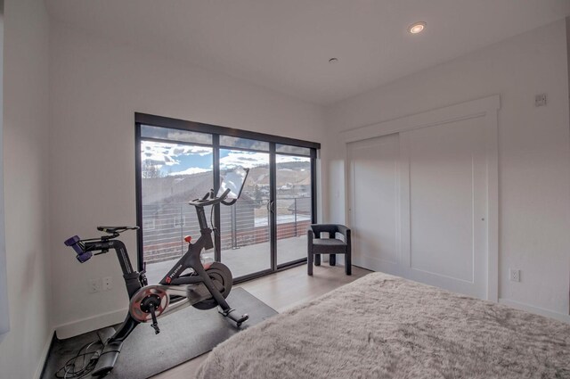 bedroom featuring access to exterior and a closet