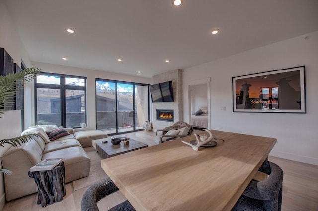 living room with a large fireplace and light hardwood / wood-style floors