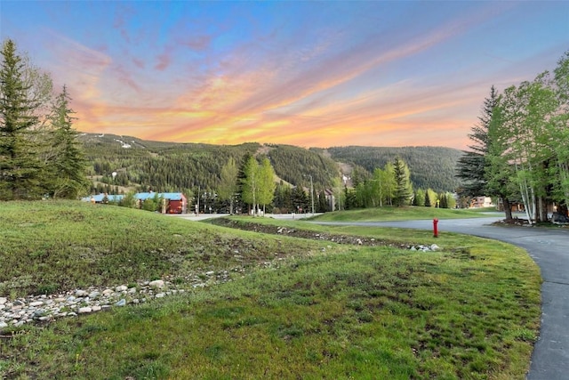 view of property's community featuring a mountain view