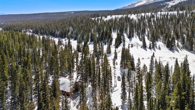 property view of mountains featuring a wooded view