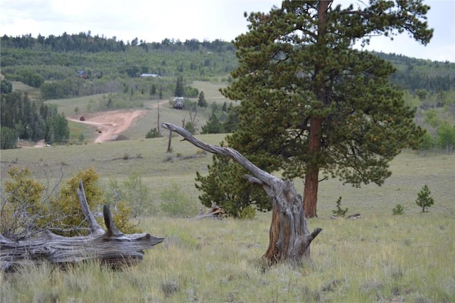 798 Hawk Way, Como CO, 80432 land for sale