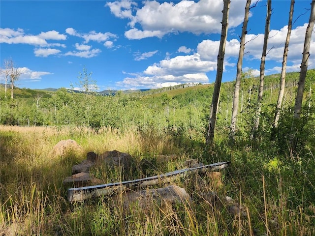 view of local wilderness