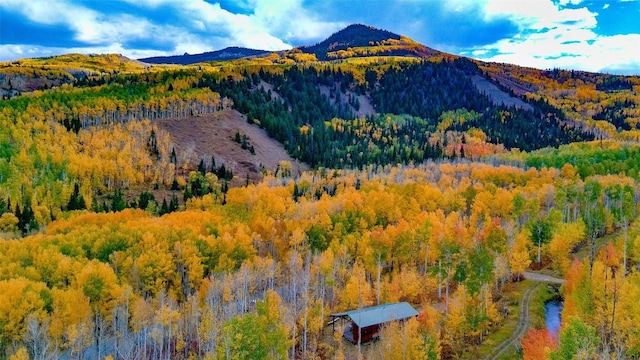 view of mountain feature