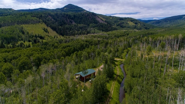 bird's eye view with a mountain view