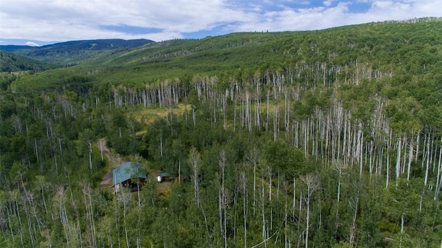 birds eye view of property featuring a mountain view